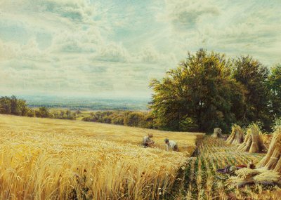 Aratógépek, 1865 alkotó: Edmund George Warren