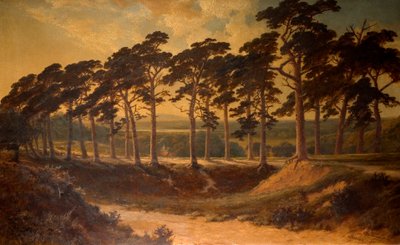 Harrow az elsőből, Hampstead Heath, 1875 alkotó: Edmund John Niemann