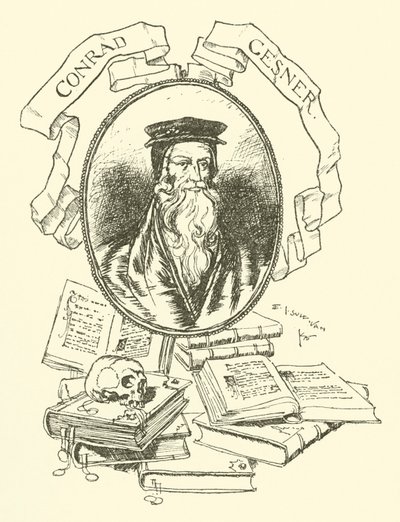 Conrad Gesner alkotó: Edmund Joseph after Sullivan