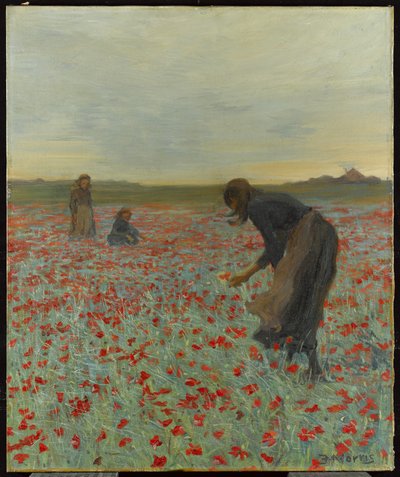 Lányok a mákföldön, 1896 körül alkotó: Edmund Montague Morris