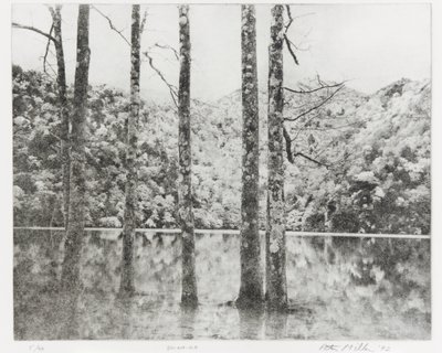 Toki-Noko, 1992 alkotó: Edouard Cremieux