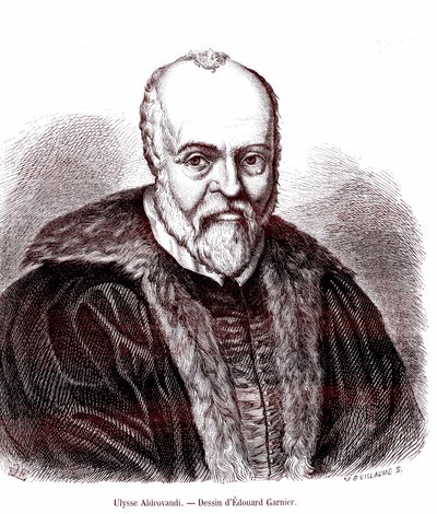 Ulisse Aldrovandi alkotó: Edouard Garnier