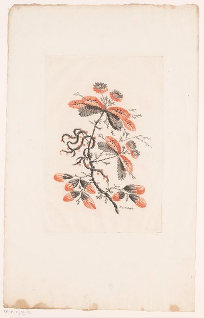 Virágok és rügyek Fleurs Idealle (sorozat címe) alkotó: Edouard Gautier Dagoty