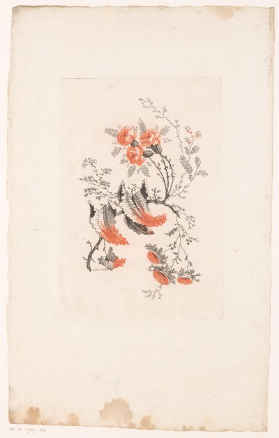 Különféle fantasiebloemen Ideális virágok (sorozat címe) alkotó: Edouard Gautier Dagoty