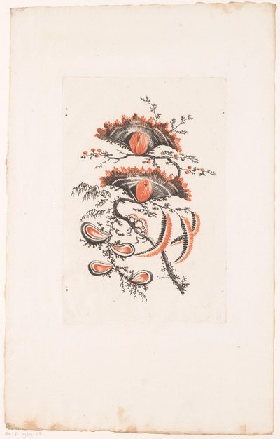 Legyező alakú virágok Fleurs Idealle (sorozat címe) alkotó: Edouard Gautier Dagoty
