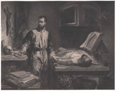 Andrew Vesalius alkotó: Edouard Jean Conrad (after) Hamman