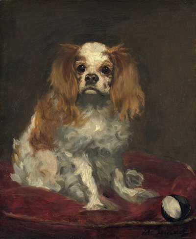 Károly király spániel alkotó: Édouard Manet