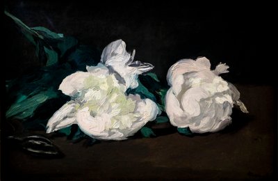 Fehér bazsarózsa és metsző ága alkotó: Édouard Manet