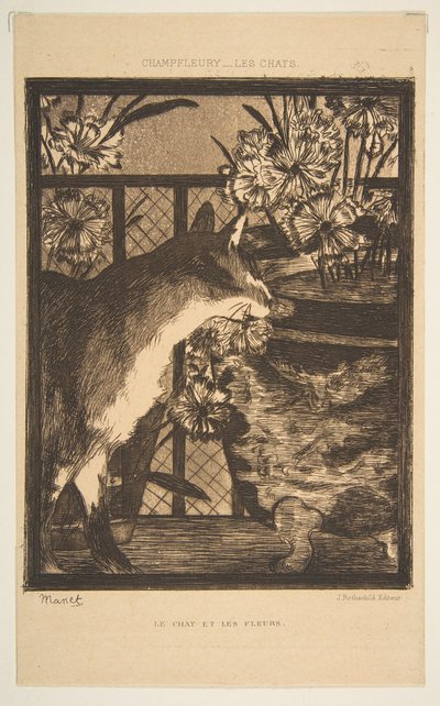 Macska és virágok. Illusztráció a macskákhoz, Champfleury, 1869. alkotó: Édouard Manet