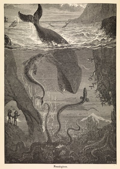 Jules Verne "Húszezer mérföld a tenger alatt" című művének címlapképe, 1870 körül (nyomtatás) alkotó: Edouard & Neuville Alphonse-Marie-Adolphe de (1835-85) Riou