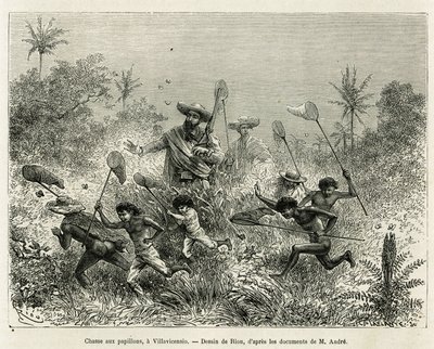 Pillangókra vadászott gyerekbanda, a szerző kíséretében, egy Villavicensio (Kolumbia), Riou rajza az Equinoxiale America (Kolumbia, Ecuador, Peru) 1875-1876-os történetének illusztrálására, Ed. andre, az F. küldetéséért felelős utazó alkotó: Edouard Riou