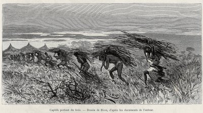 Foglyok, akik fát cipelnek a bokorban. Riou metszete a „Nigertől a Guineai-öbölig” című történet illusztrálására, Louis Gustave Binger kapitány (1856-1936) 1887-1889-ben, a Le tour du monde-ban, az új folyóiratban, irányítása alatt Edouar alkotó: Edouard Riou