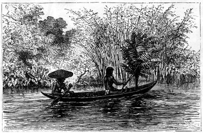 Dugout az Essequibo folyóban, Guyana, 19. század alkotó: Edouard Riou