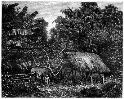 Guyana, Dél-Amerika, 19. század alkotó: Edouard Riou