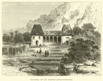 Hacienda of Los Camotes, édesburgonya alkotó: Edouard Riou