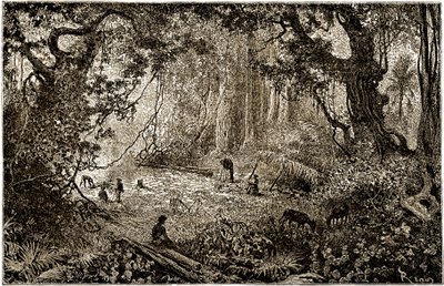 Egy guatemalai felfedezőtábor felállítása (1882) alkotó: Edouard Riou