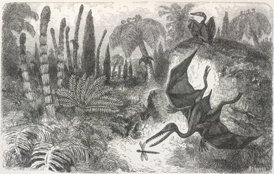 „A Liasic korszak tája”. Pterodactilt ábrázoló illusztráció alkotó: Edouard Riou