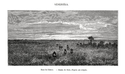 Los Llanos, Venezuela, 19. század alkotó: Edouard Riou