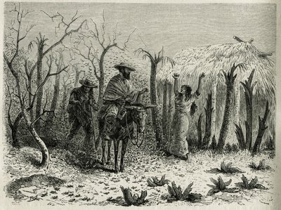A Vallee du Upper Patia szöcskefelhői, öszvérén az utazás elbeszélőjével, Riou metszetével, E.Andre, a francia kormány küldetéséért felelős utazó L