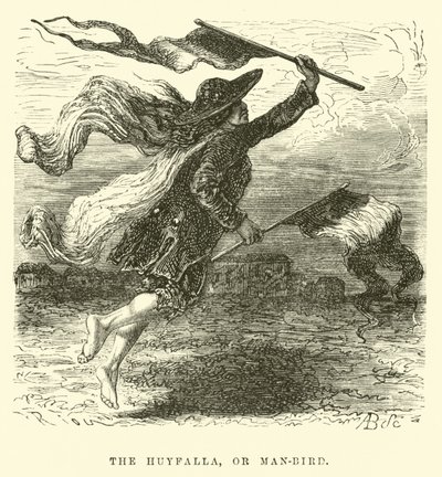 A Huyfalla, vagy ember-madár... alkotó: Edouard Riou