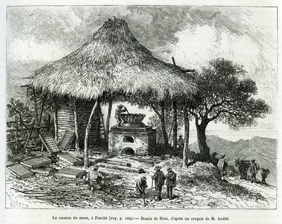 A cukorsütő sütő Panche-ban (Kolumbia), Riou rajza az Equinoxiale America (Kolumbia, Ecuador, Peru) 1875-1876-os történetének illusztrálására, Ed. andre, a francia kormány utazói missziós megbízatása. Gravírozás a Le tour du monde-ban alkotó: Edouard Riou