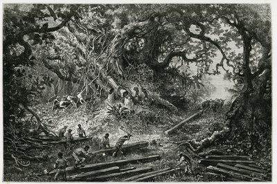 A mahagóni kitermelése az Andok erdeiben. Riou metszete a „Utazás Yucatanba és a Lacandonok földjére” című történetének illusztrálására 1882-ben, Desire Charnay (1828-1915) régész és fotós műve. Megjelent a Tour du monde nou alkotó: Edouard Riou
