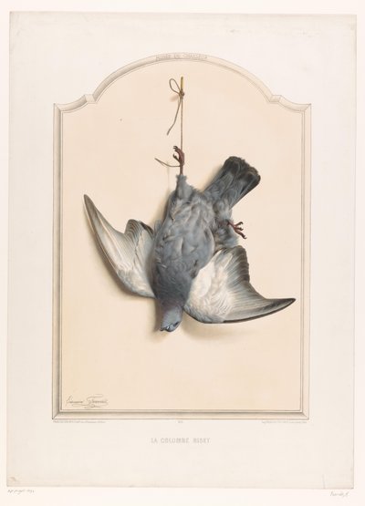 Döglött sziklagalamb lóg az egyik lábán La colombe biset (cím a tárgyon) A Vadász Múzeuma (sorozat címe) Musée du chasseur (sorozat címe a tárgyon) alkotó: Edouard Travies