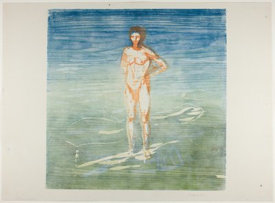 Férfi fürdés alkotó: Edvard Munch