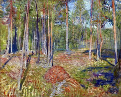 Fenyőerdő – Edvard Munch (1863-1944) festménye alkotó: Edvard Munch