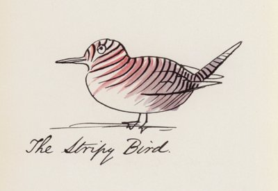 Edward Lear, A madárkönyv: A csíkos madár (színes litho) alkotó: Edward (after) Lear