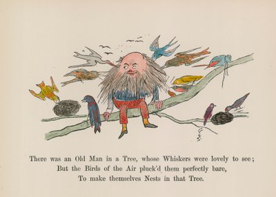 Volt egy öregember a fán, akinek a bajuszát nagyon szép volt látni (színes metszet). alkotó: Edward (after) Lear