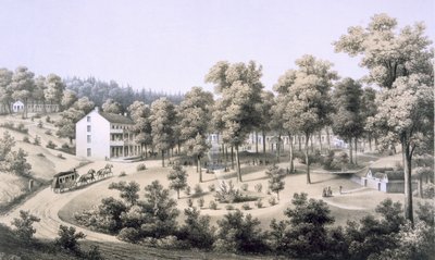 Stribling Springs, Spa Village, Augusta Country, 1858 alkotó: Edward Beyer