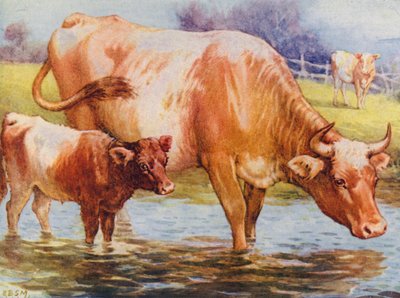 Tehenek és borjúk (színes litho) alkotó: Edward Brice Montefiore
