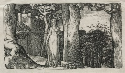 The Lady and the Rooks alkotó: Edward Calvert