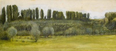 Táj fűzfákkal és nyárfákkal, tanulmány alkotó: Edward Burne Jones