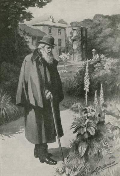 Charles Darwin a Down House-i kertjében (litográfia) alkotó: Edward Frederick Skinner