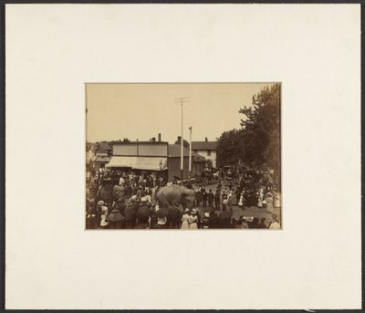 [Elefántok sétálnak a városban, Maple City] alkotó: Edward H. Hart