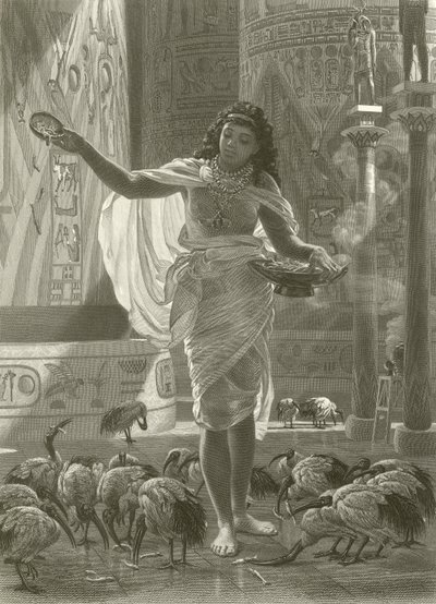 A szent íbisz etetése Karnac termeiben alkotó: Edward John Poynter