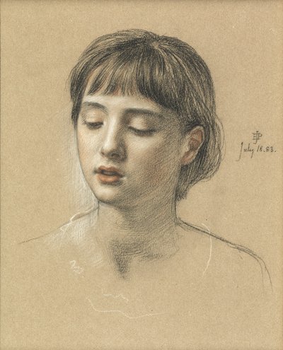 Lányfej, 1883 (kréta, papír) alkotó: Edward John Poynter