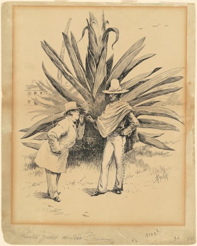 Kaktusz Mexikóból alkotó: Edward Kemble
