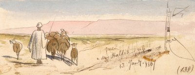 A száraz félfű alkotó: Edward Lear