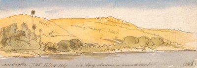 Sabooa felett alkotó: Edward Lear
