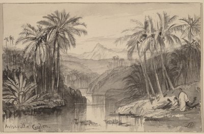 Avisavella, Ceylon alkotó: Edward Lear