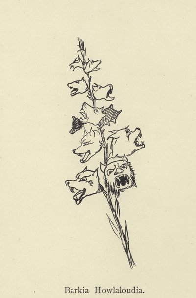 Barkia Howlaloudia alkotó: Edward Lear