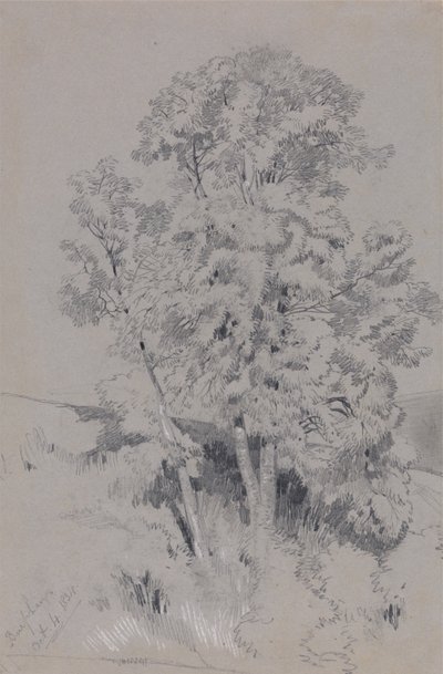 Burpham 1834. október 4. alkotó: Edward Lear