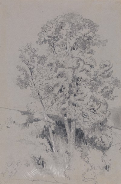 Burpham, 1834. október 4. alkotó: Edward Lear