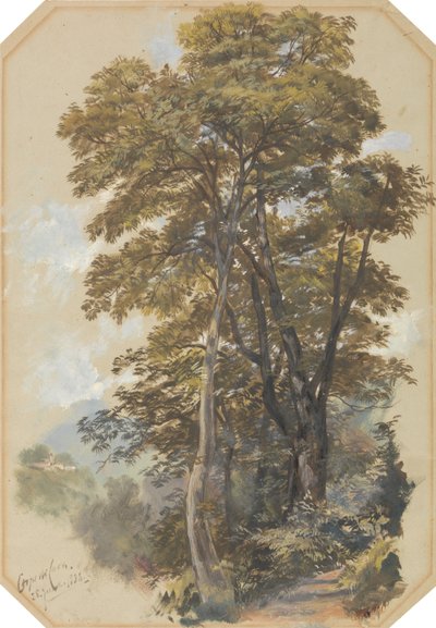 Corpo di Cava, 1838. június 28. alkotó: Edward Lear