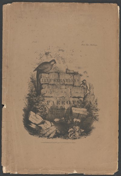 A Psittacidae család, avagy a papagájok illusztrációi, 1. rész: Folio borító, címlap, ajánlóoldal, előfizetői oldal alkotó: Edward Lear