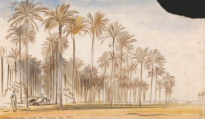 Kourayim alkotó: Edward Lear