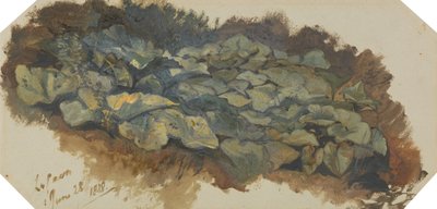 La Cava alkotó: Edward Lear